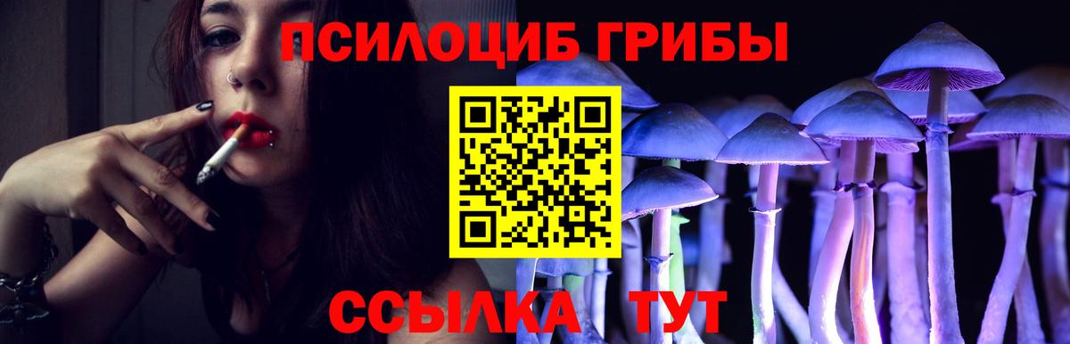 Кропоткин  Псилоцибиновые грибы GOLDEN TEACHER  Вход с VPN 
